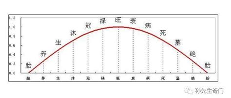 长生八字|八字命理进阶知识②——十二长生